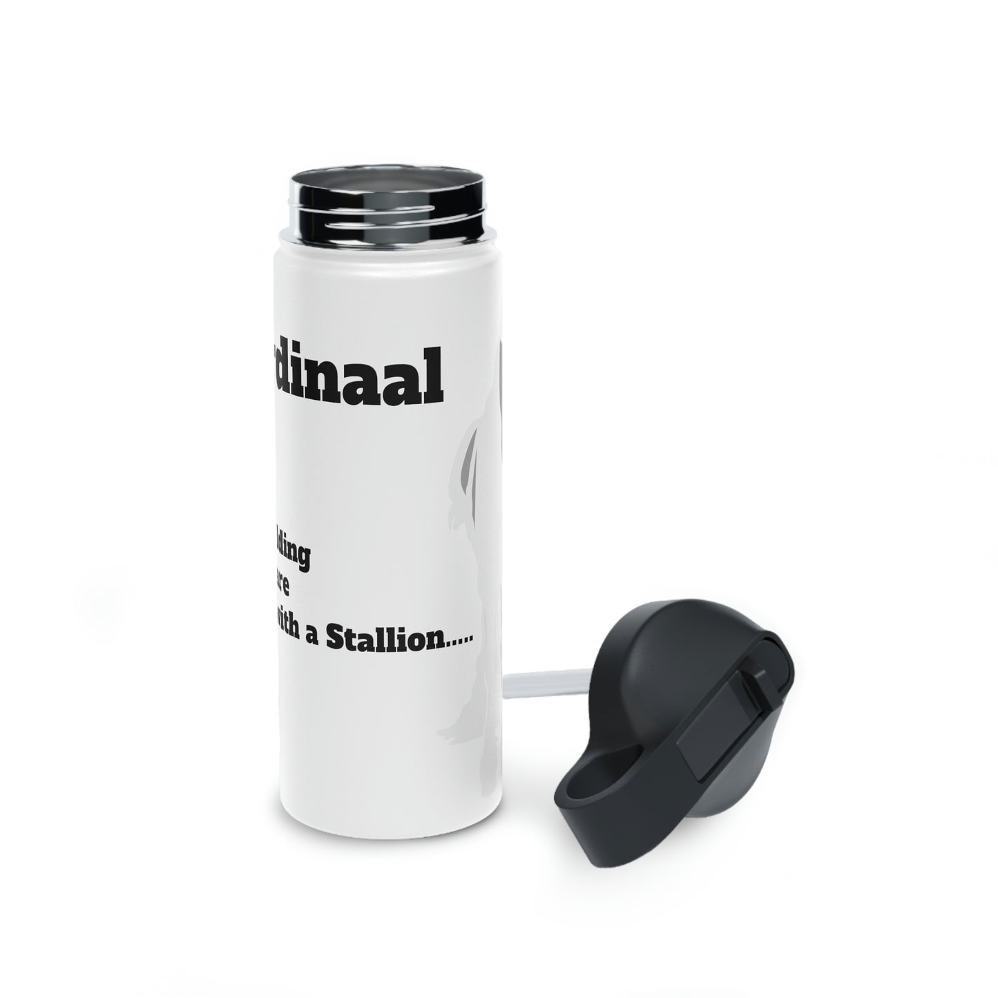 YOLy discuss with a Stallion Stainless Steel Water Bottle, Standard Lid